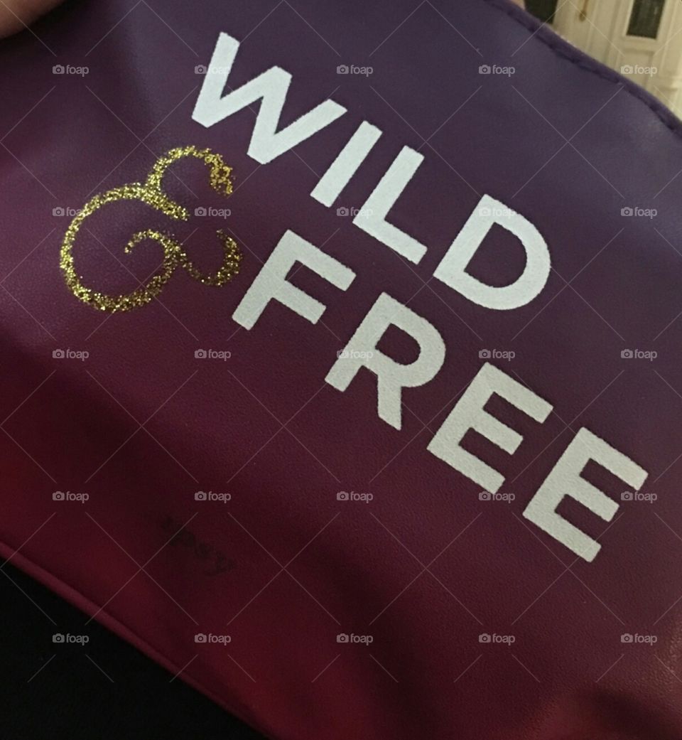 Wild & Free Ipsy Bag
