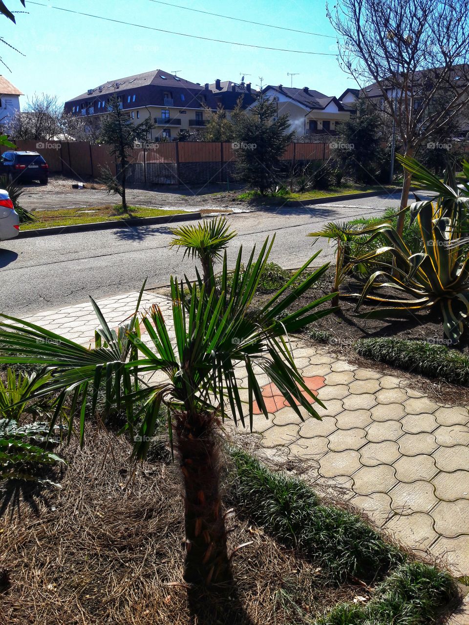 No Person, Garden, Tree, Outdoors, Travel