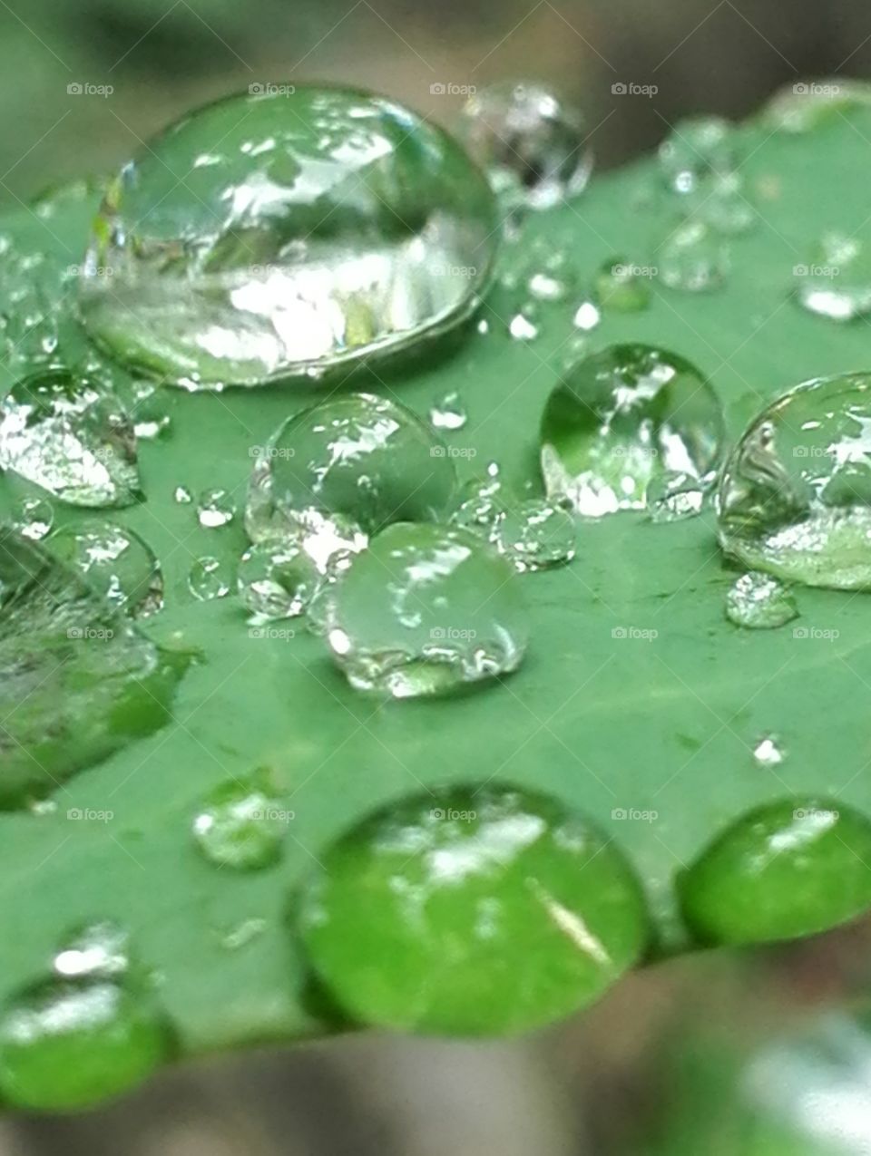 Descended from the sky