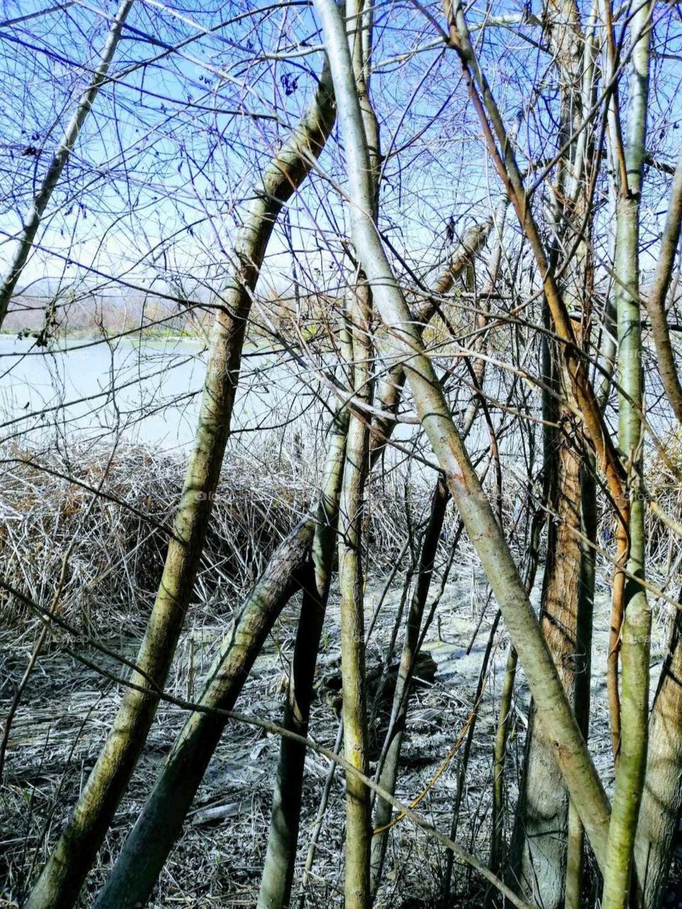 Córdoba, Andalucía