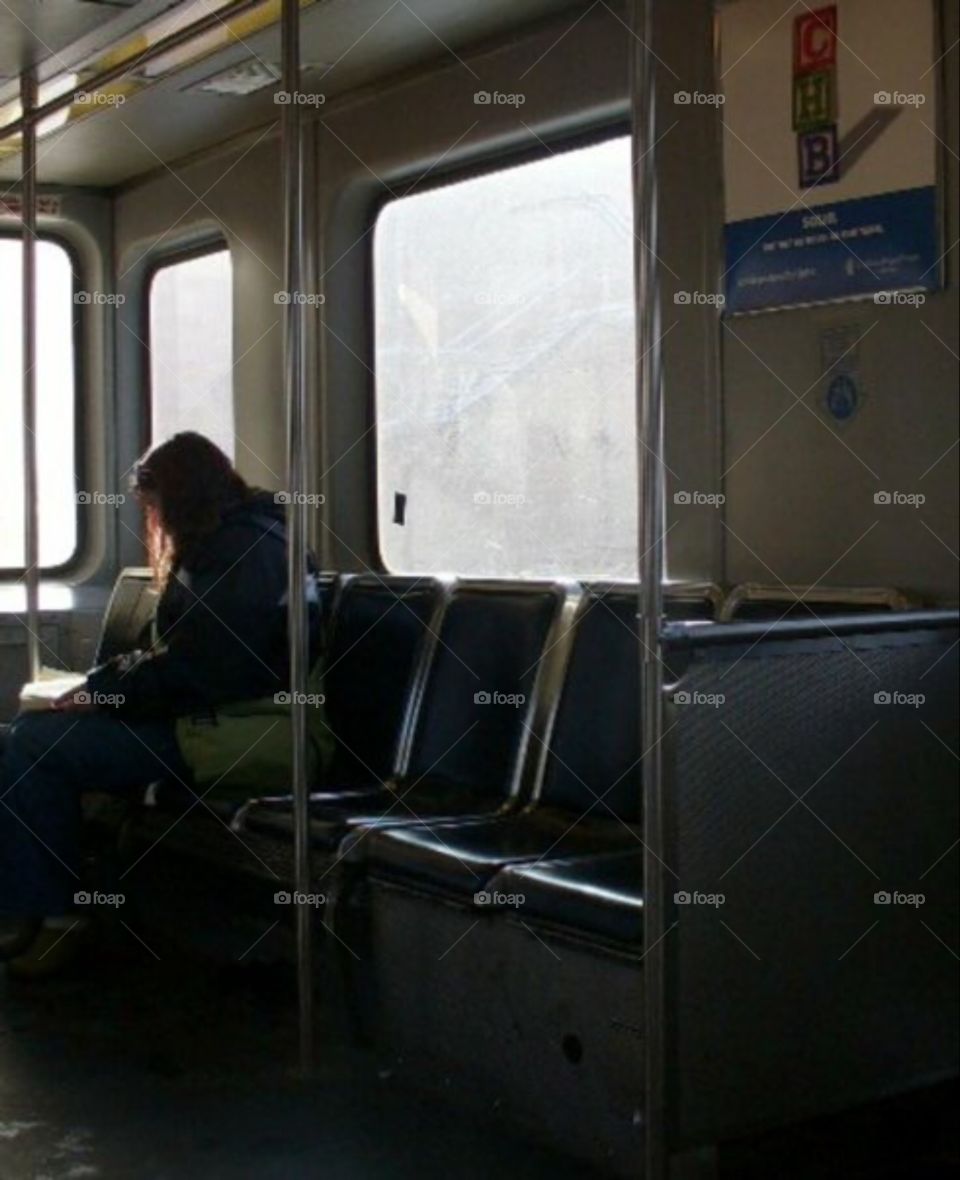 Lady on the Red Line