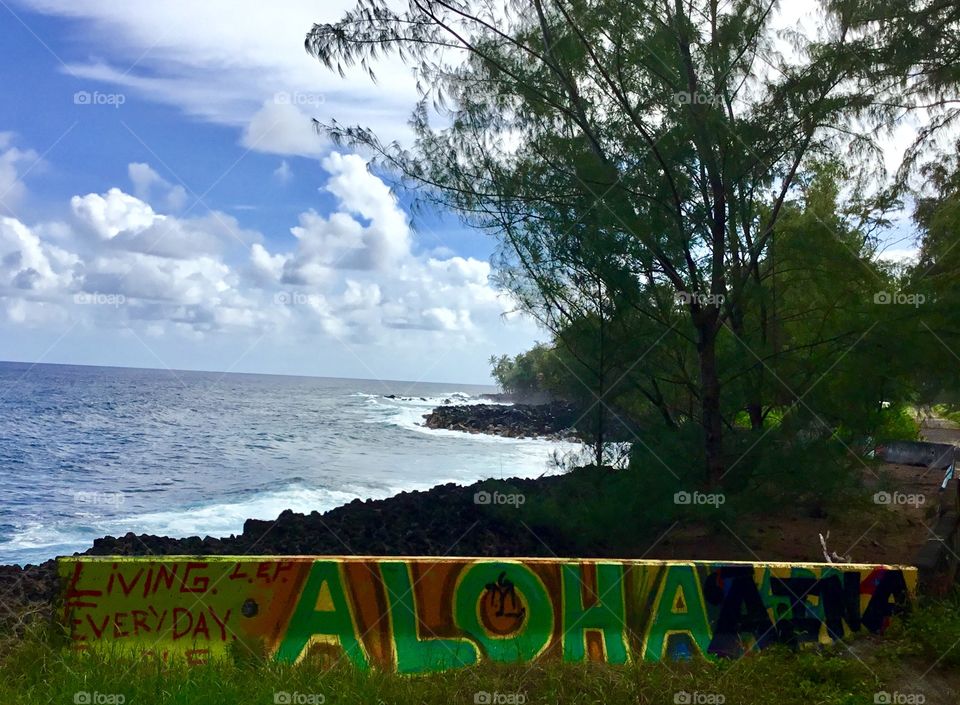 Aloha Aina = love/respect the land