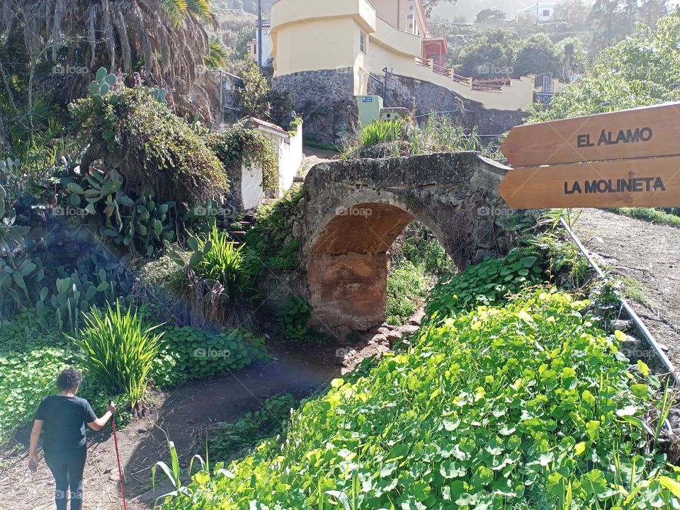 barranco Teror gran canaria