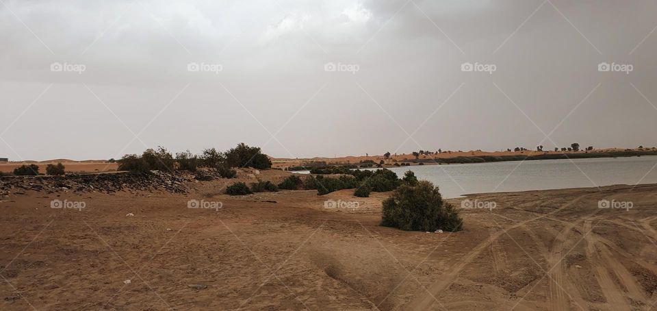 The lake on the middle of desert