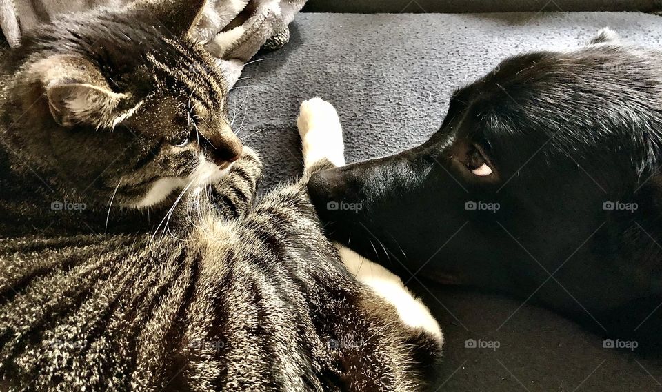 Please, play with me 😕