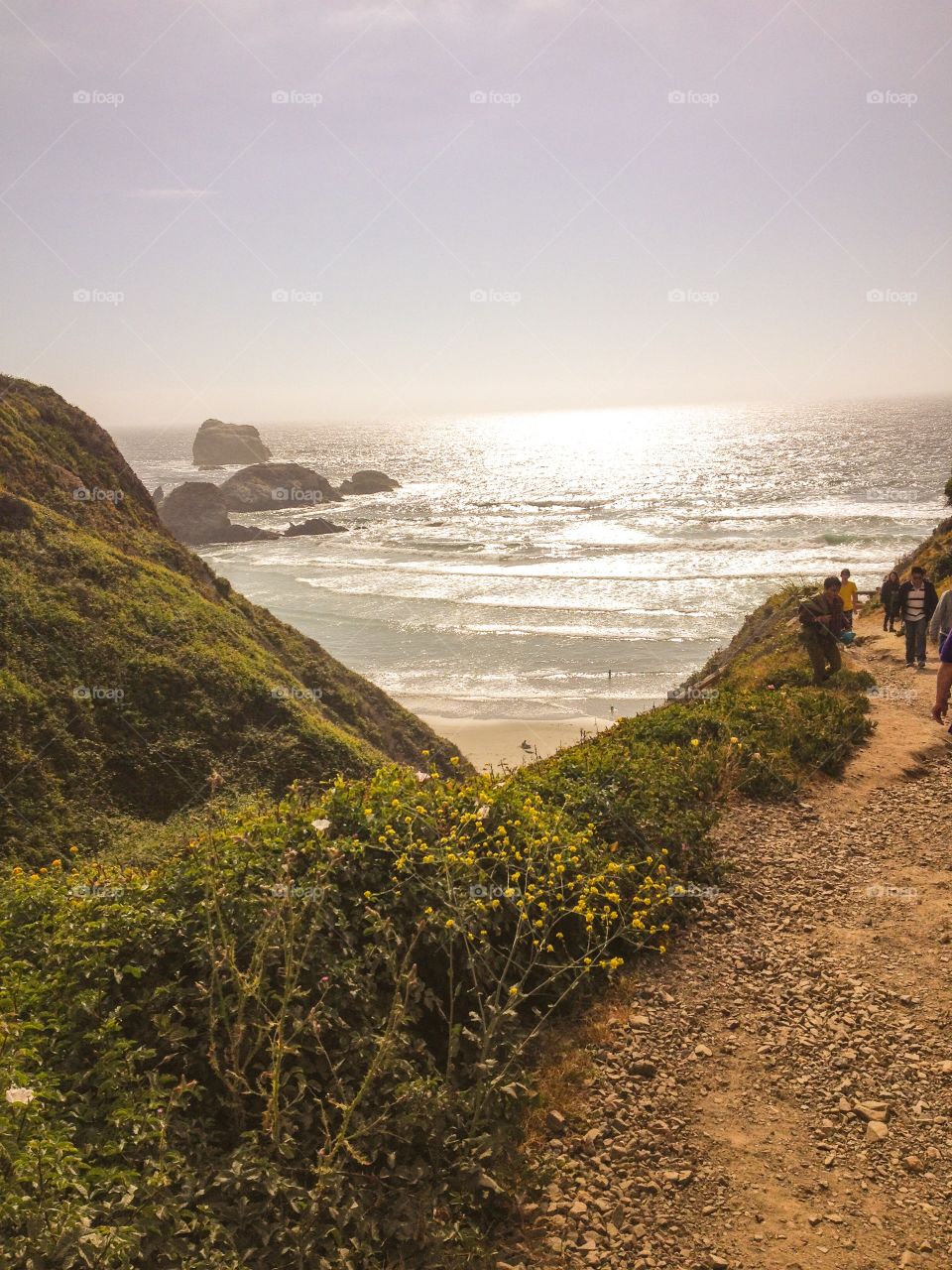 Big Sur Hiking View