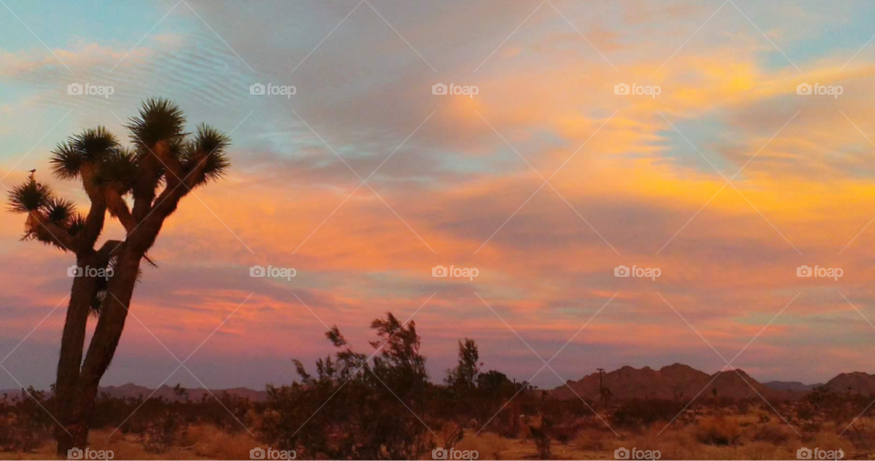 the colors of the desert skies