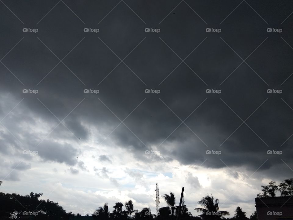 Rainy Days with nature