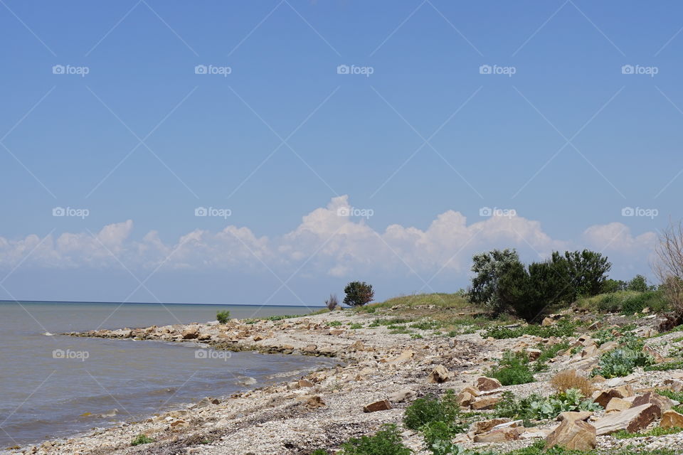 Scenic view of coastline