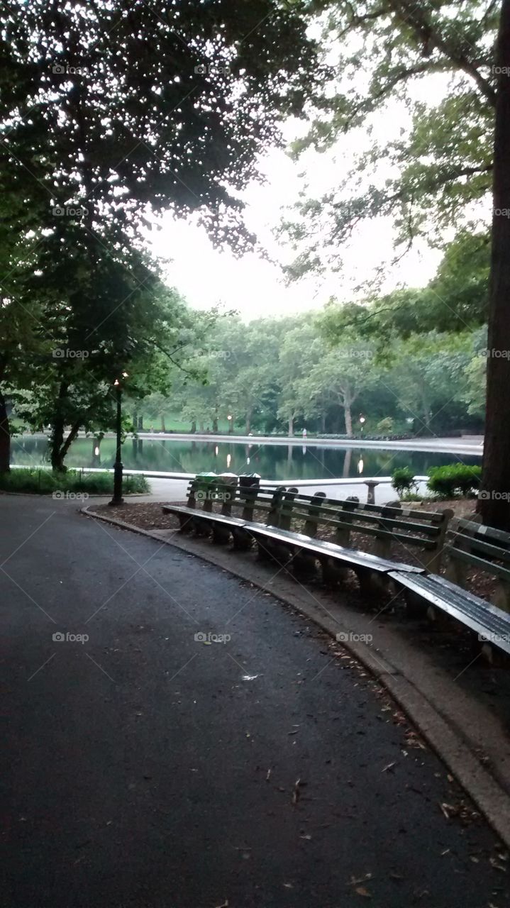 Central Park man made lake. at Central Park