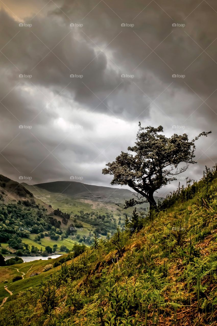 Scenic view of stormy cloud