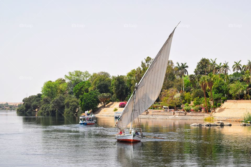 Sail boat on the nile in front of the Botanic island