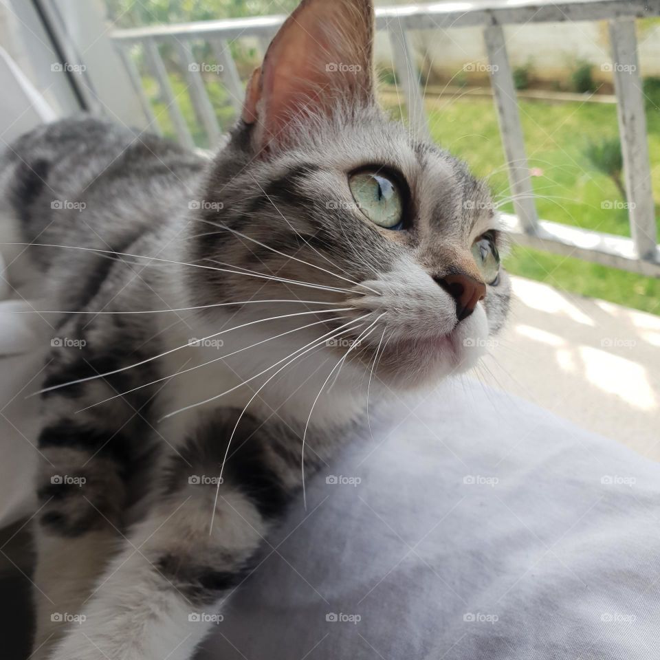 es bellísima ❤️