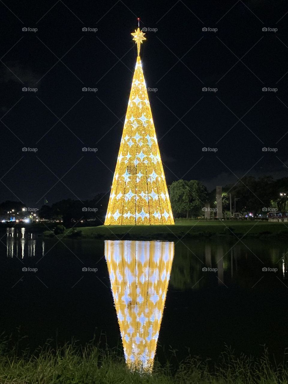 Christmas tree reflection in lake at night