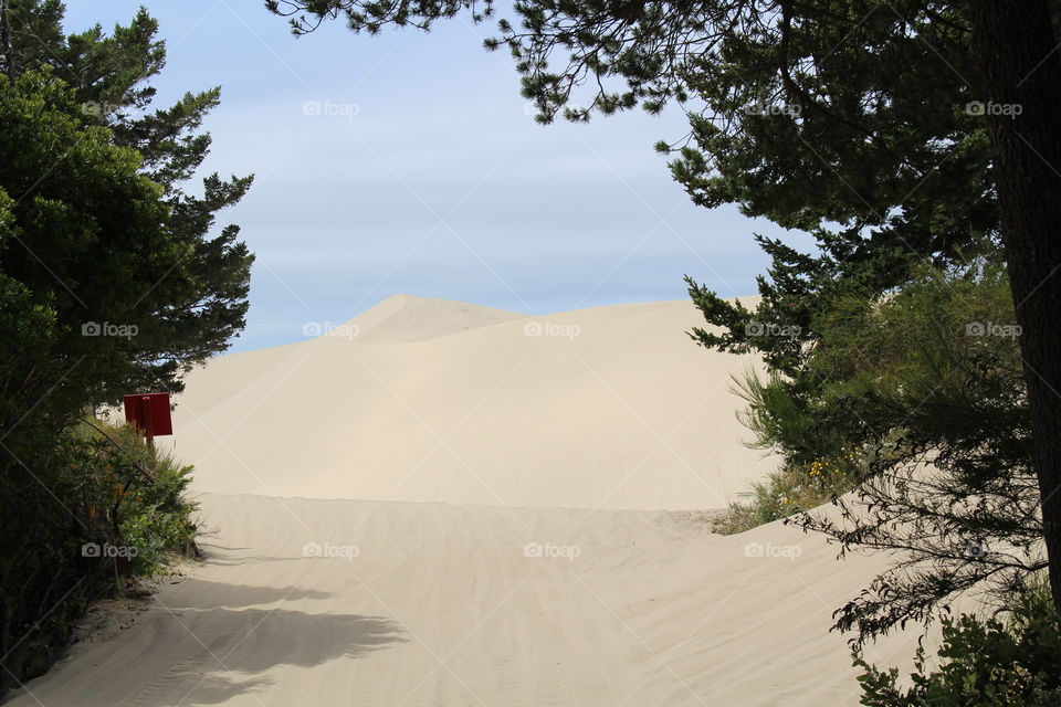 sand dunes