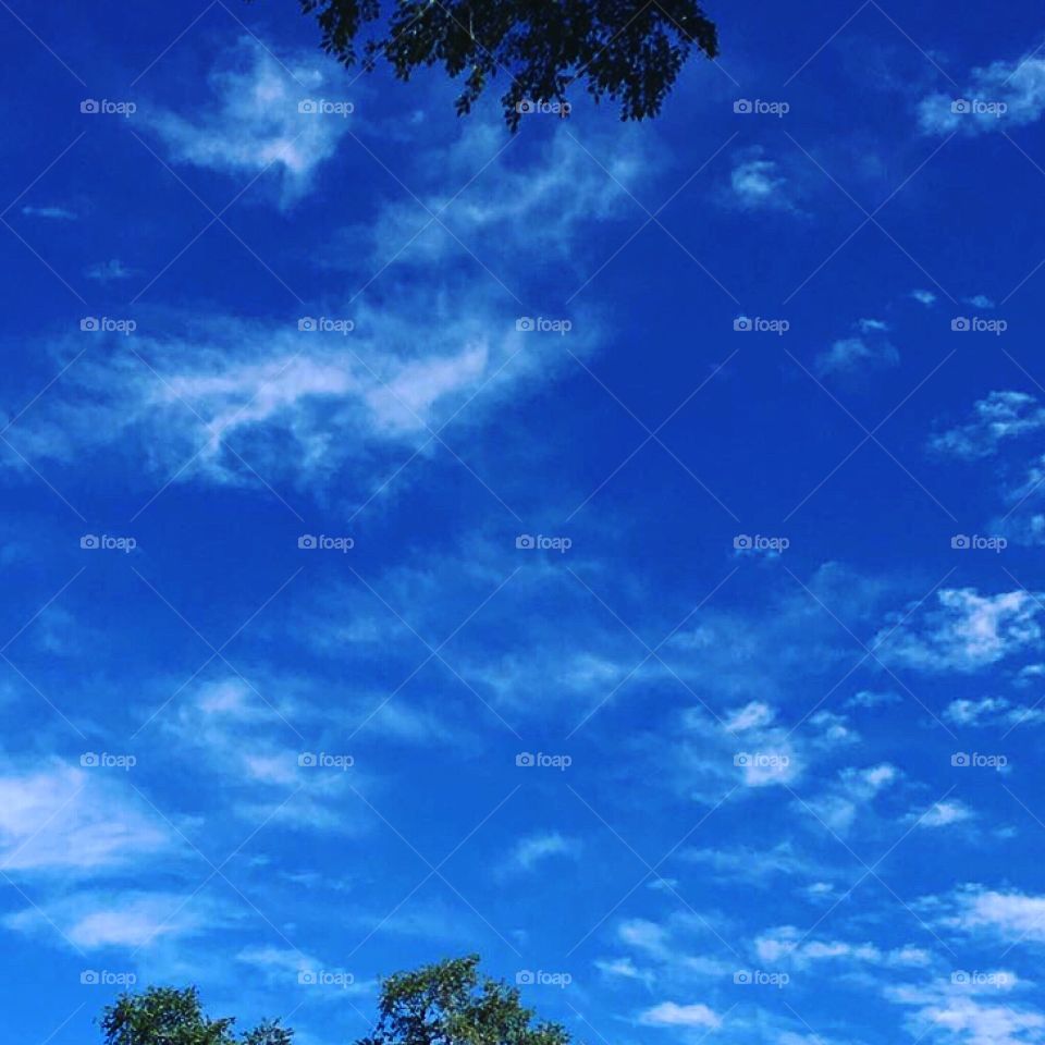 Blue sky 
