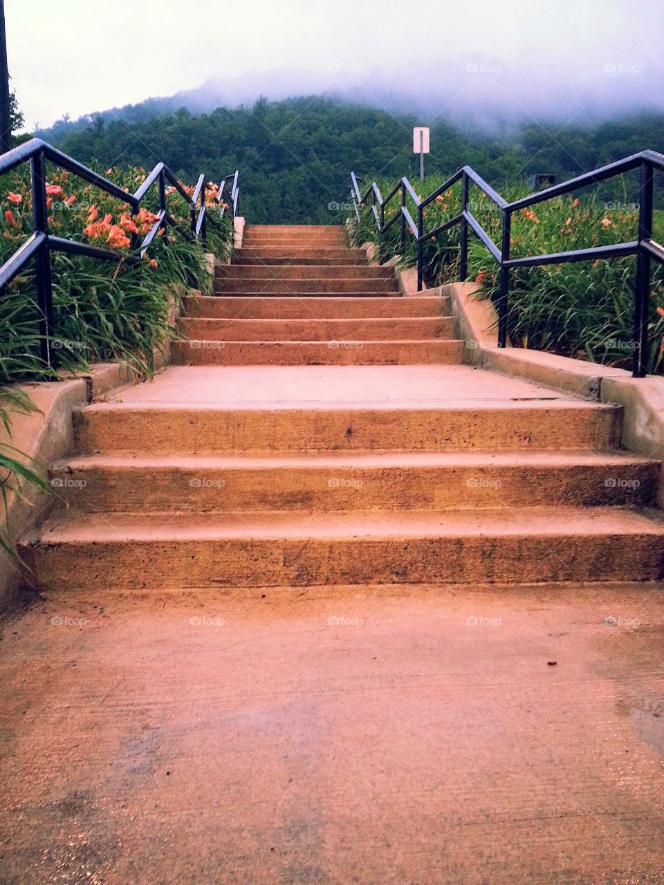 Steps to adventure