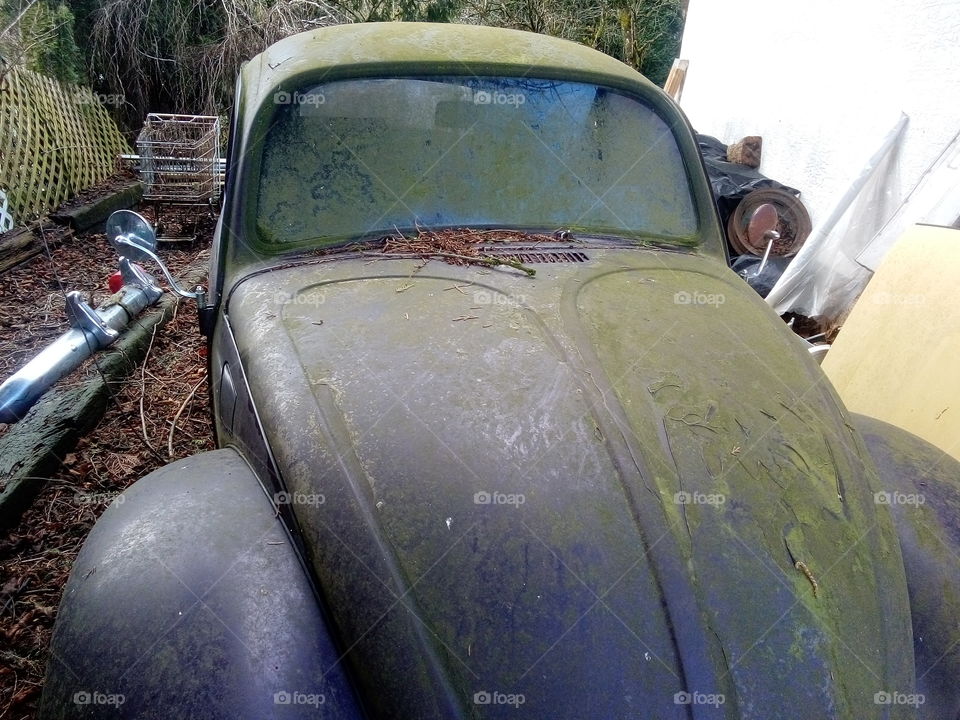 This is an abandoned VW Beetle that I came across in my neighborhood.