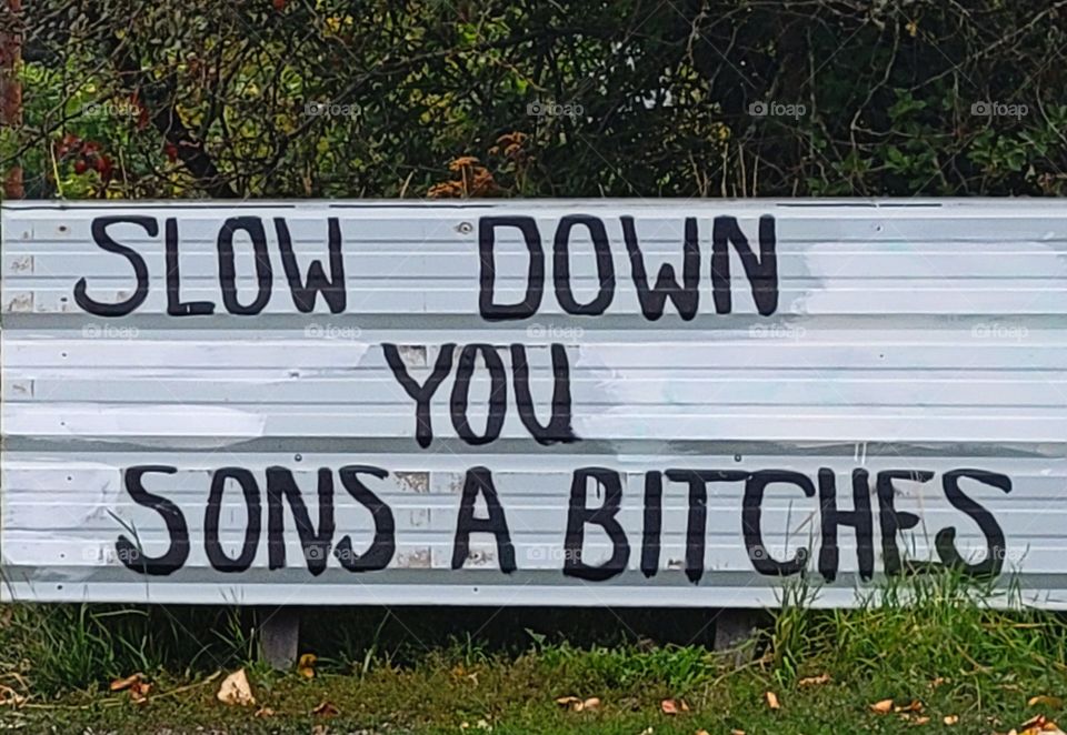 signs signs everywhere there are signs