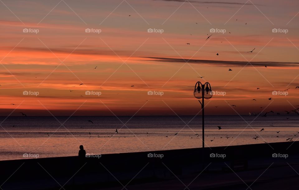 Sunset, Water, Beach, Sea, Dawn