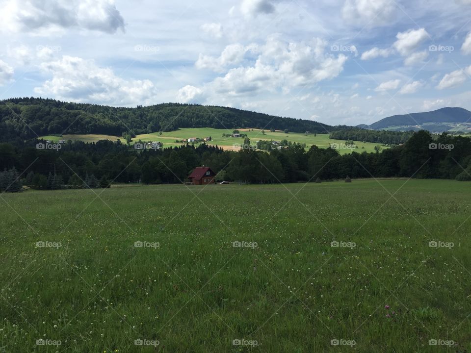 Landscape, Tree, Hill, Agriculture, No Person