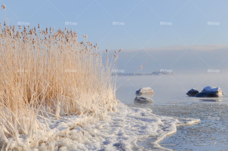 View of frozen lake in winter