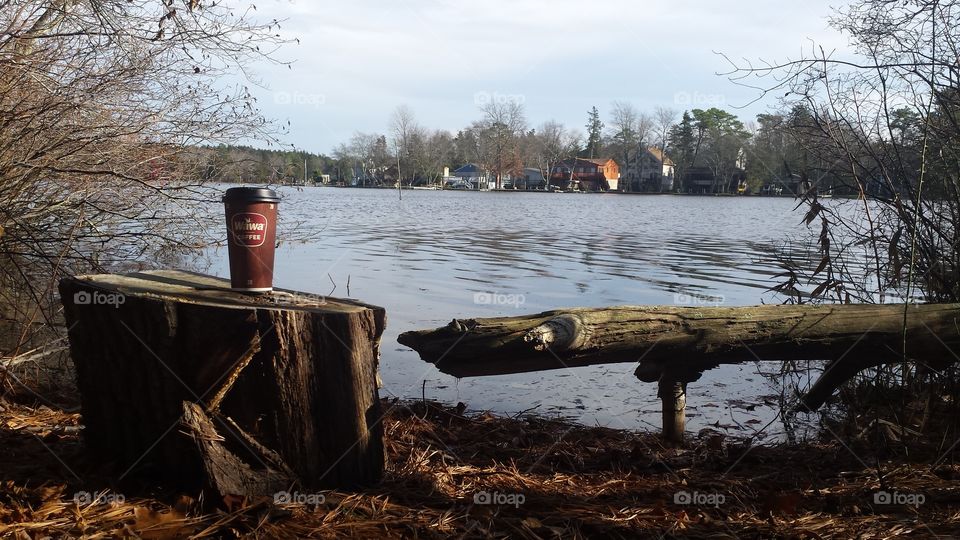 Water, No Person, Landscape, River, Tree