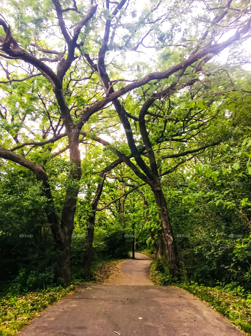 Minnesota Bike Trails in the Spring - Vermillion Park in Hastings, Minnesota, USA