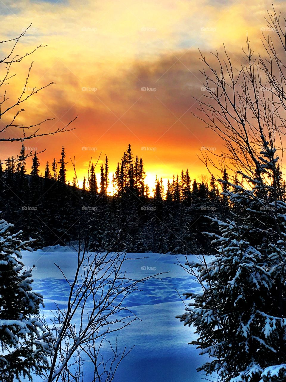 Sunset in snowy landscape 