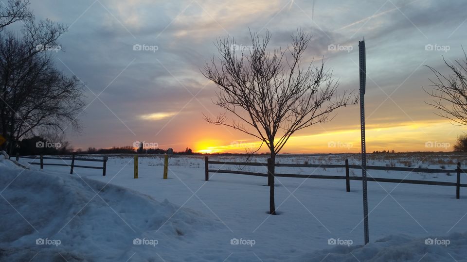 Winter, Snow, Dawn, Sunset, Landscape