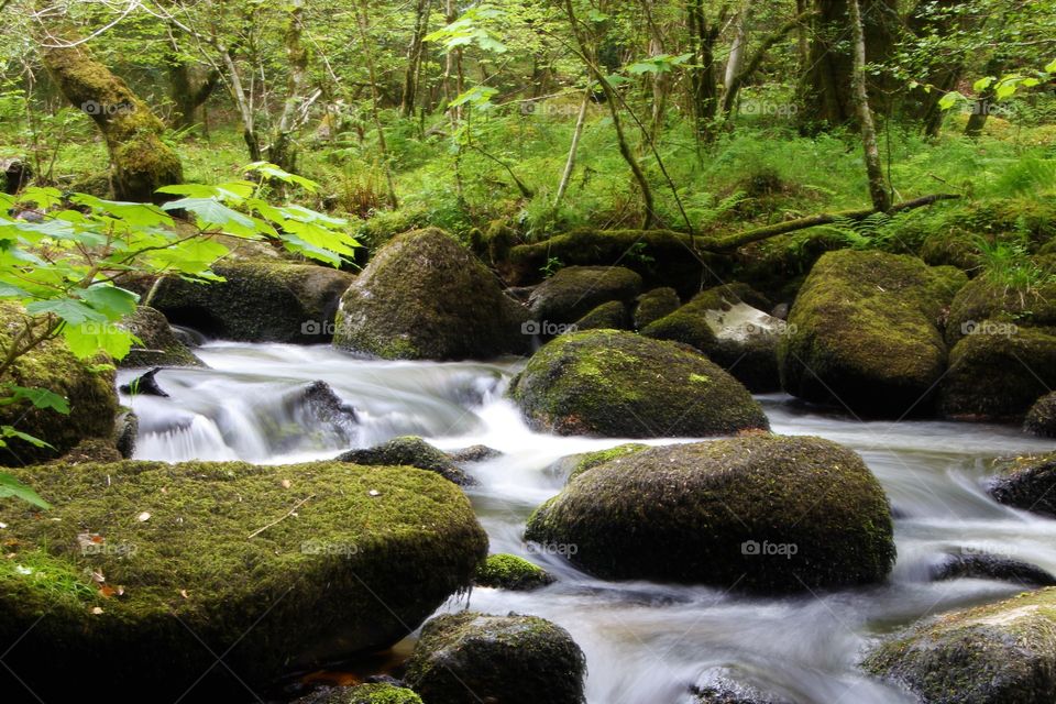 River Bovey