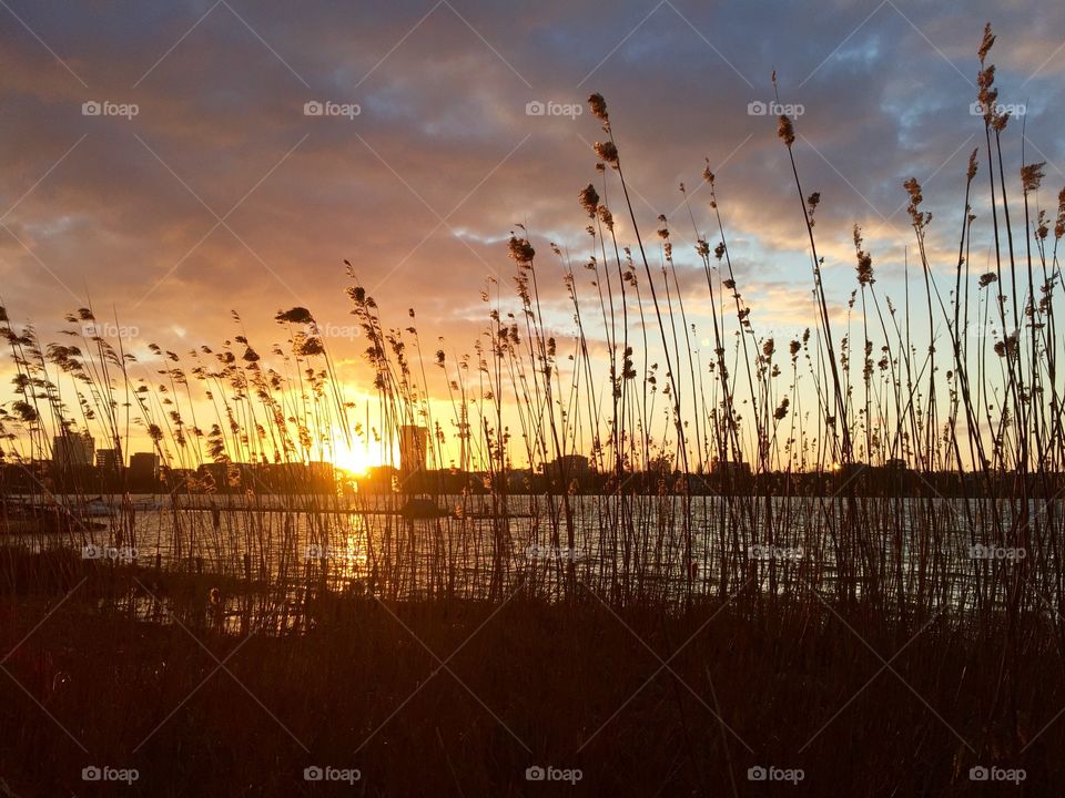 Sunset in hamburg at the lake
