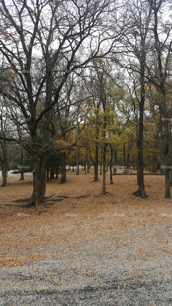 Beautiful park in the fall
