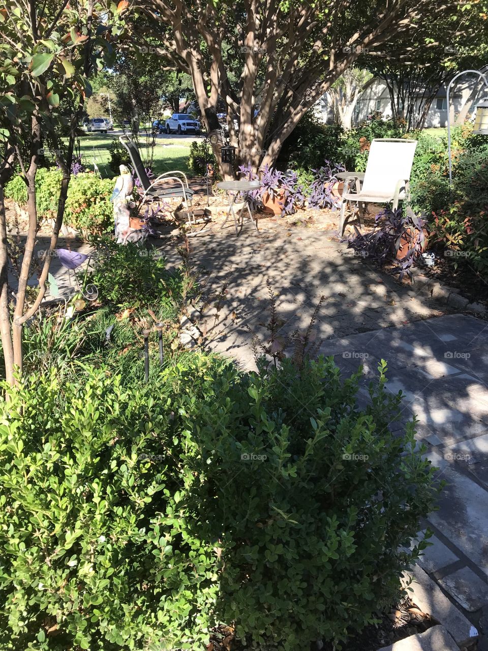 My water efficient Texas yard 
