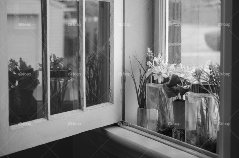 Black & White Floral Window Reflection