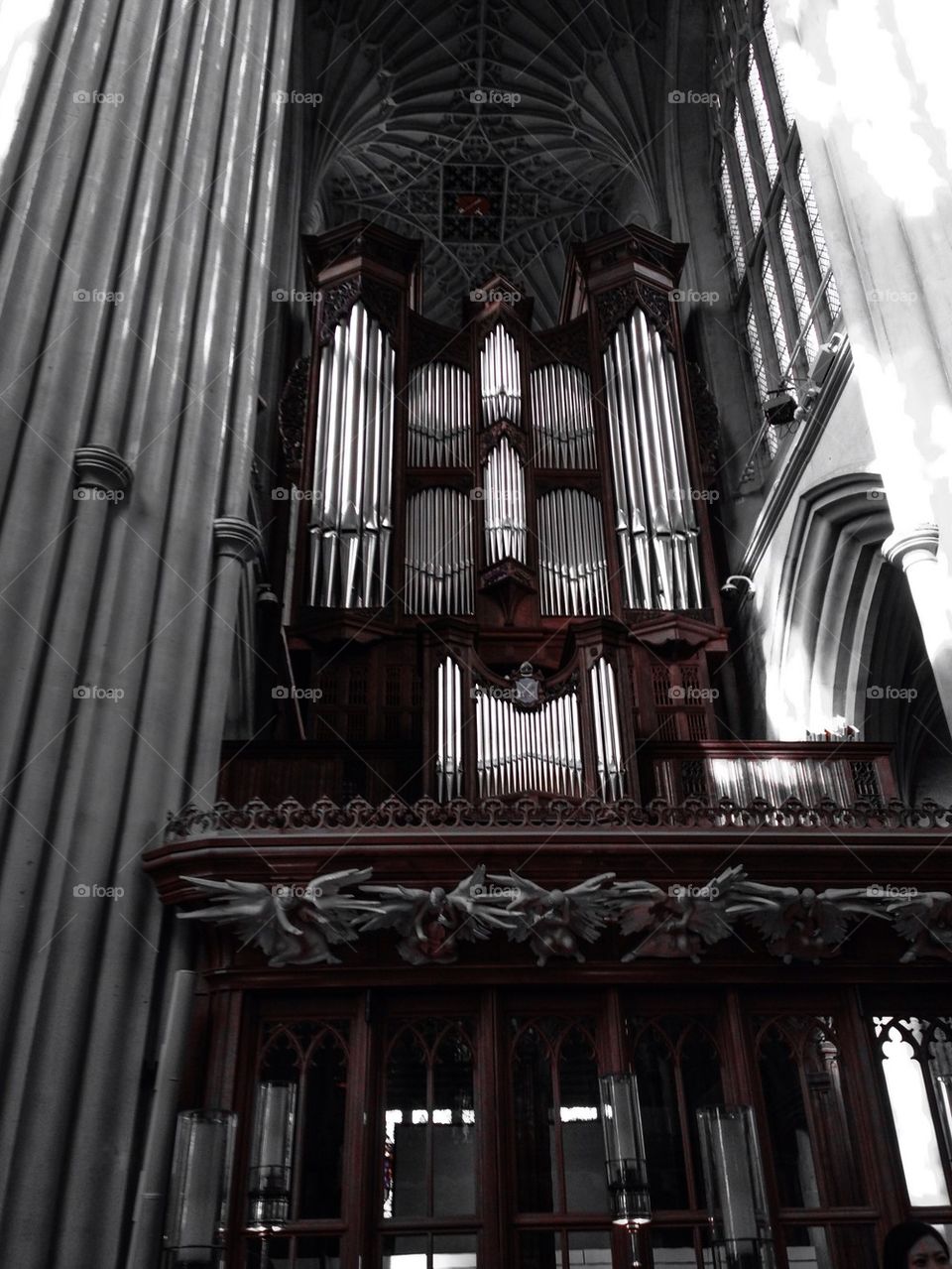 Bath Abby Organ
