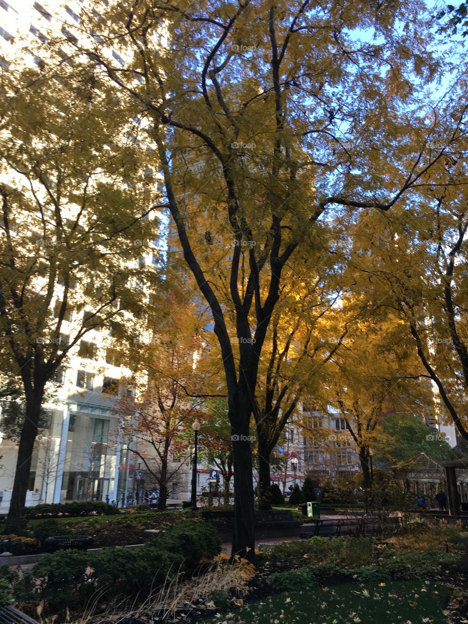 Boston in the evening light