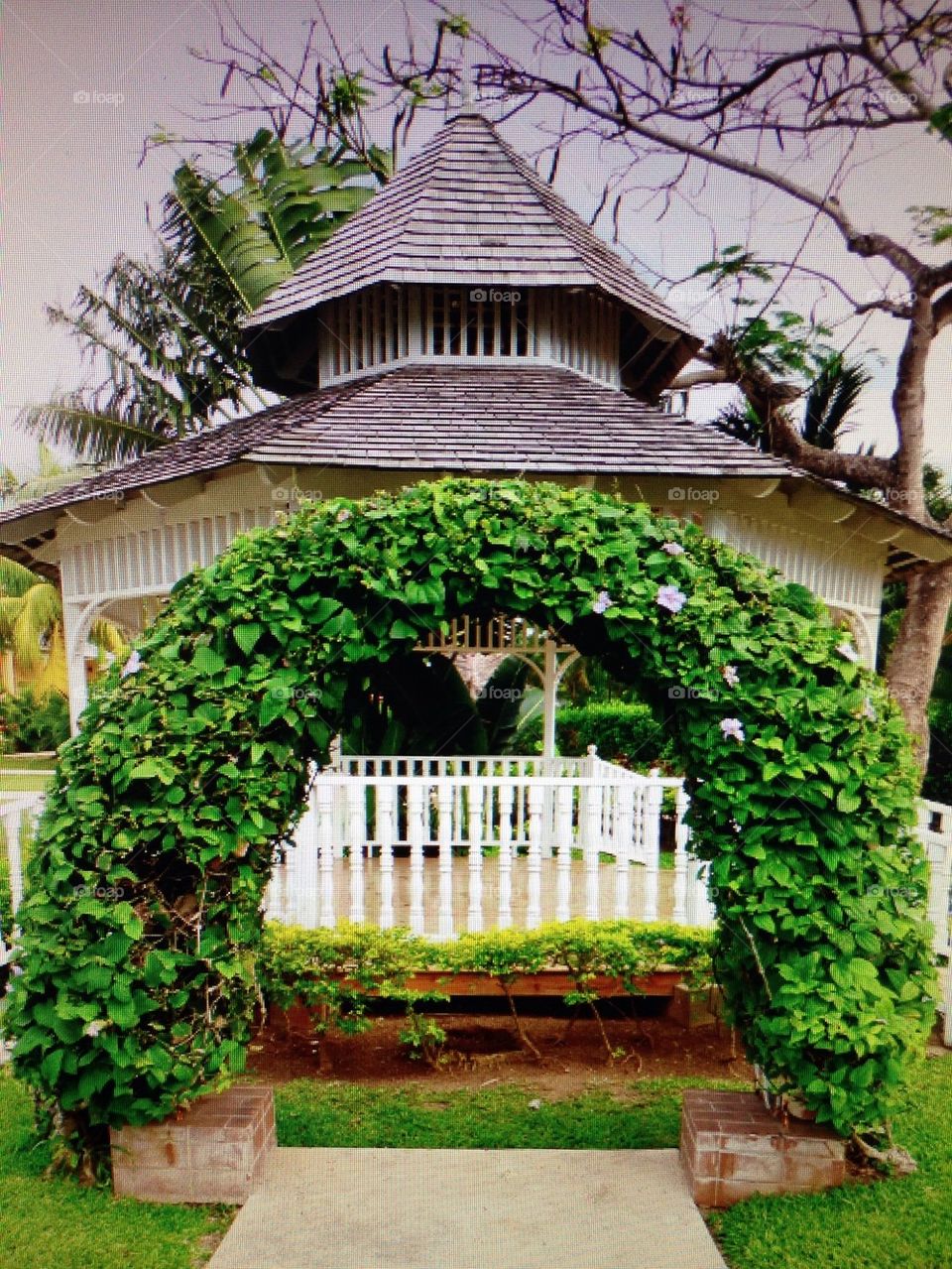 Jamaican gazebo