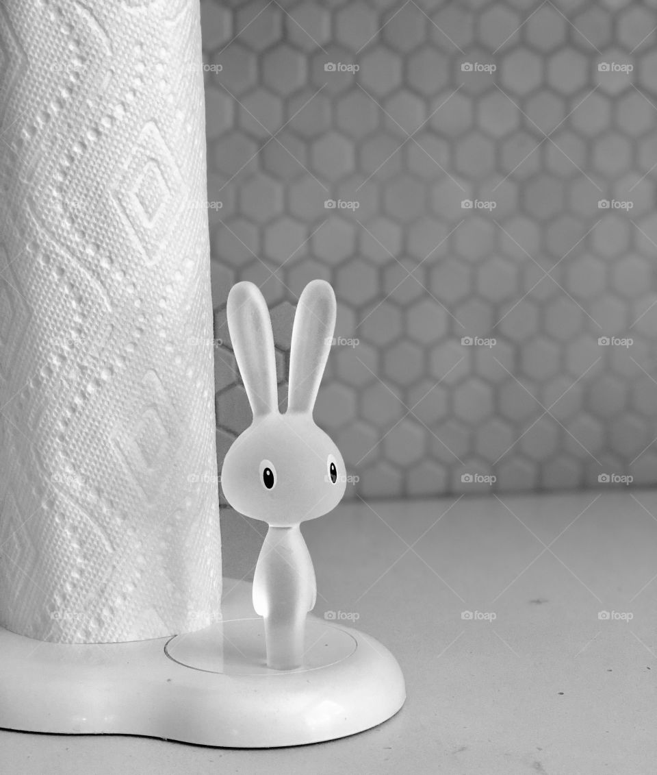 Bunny rabbit paper towel dispense