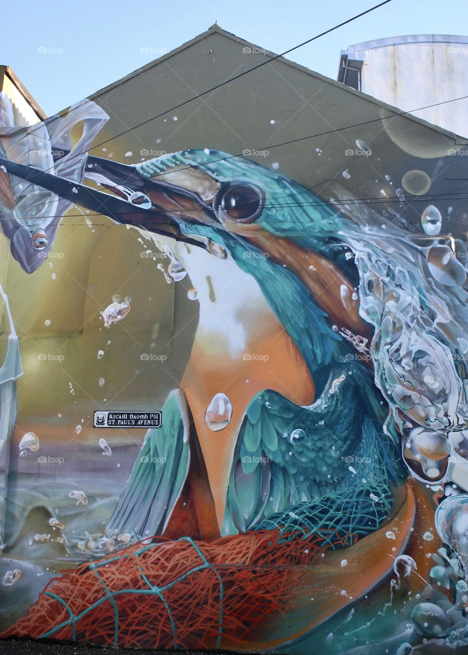 graffiti - kingfisher 