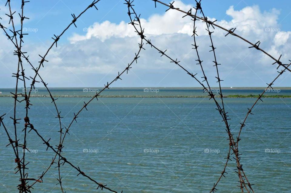 barbed wire before the sea