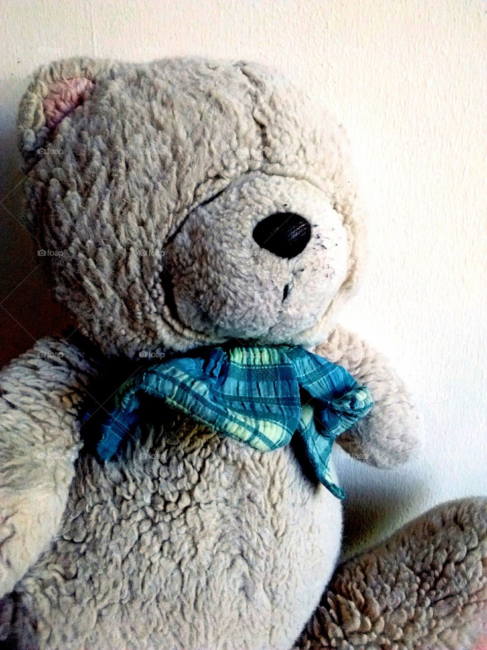 Teddy bear