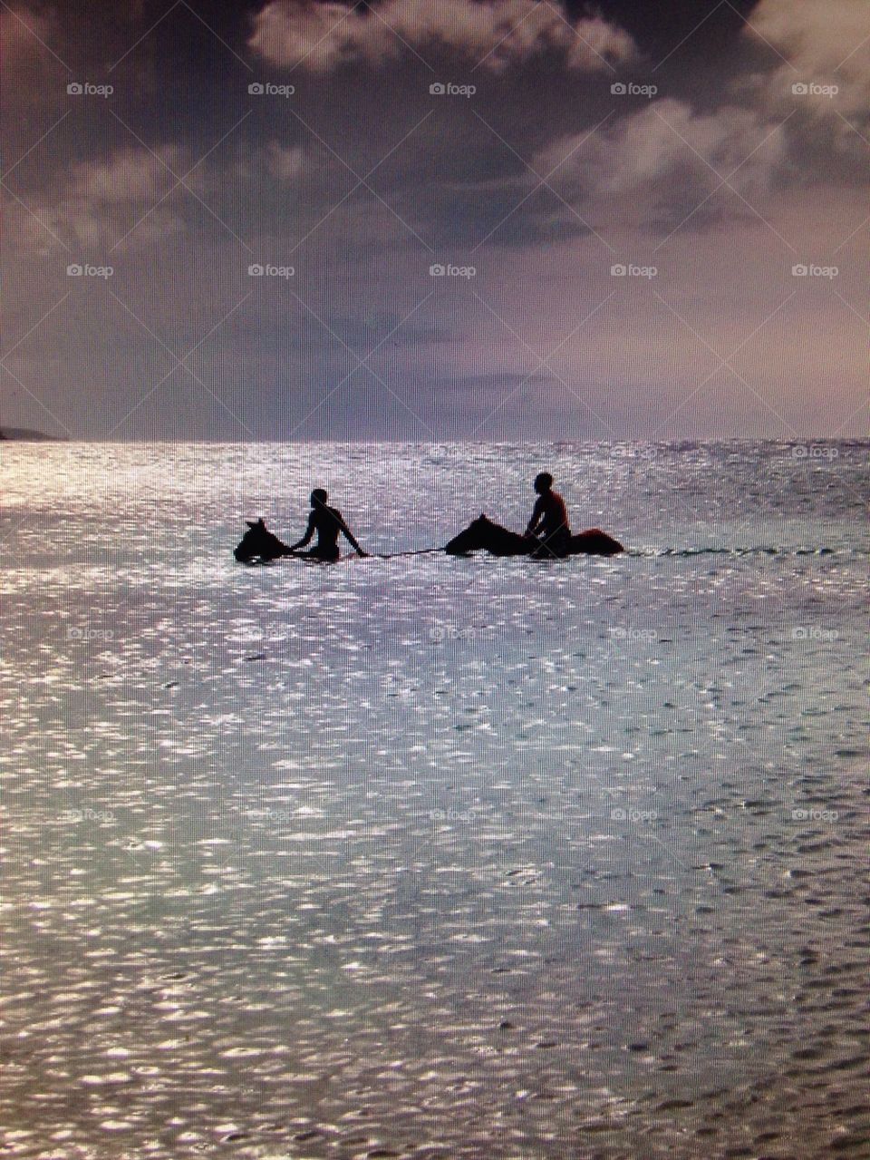 Horse ride in ocean