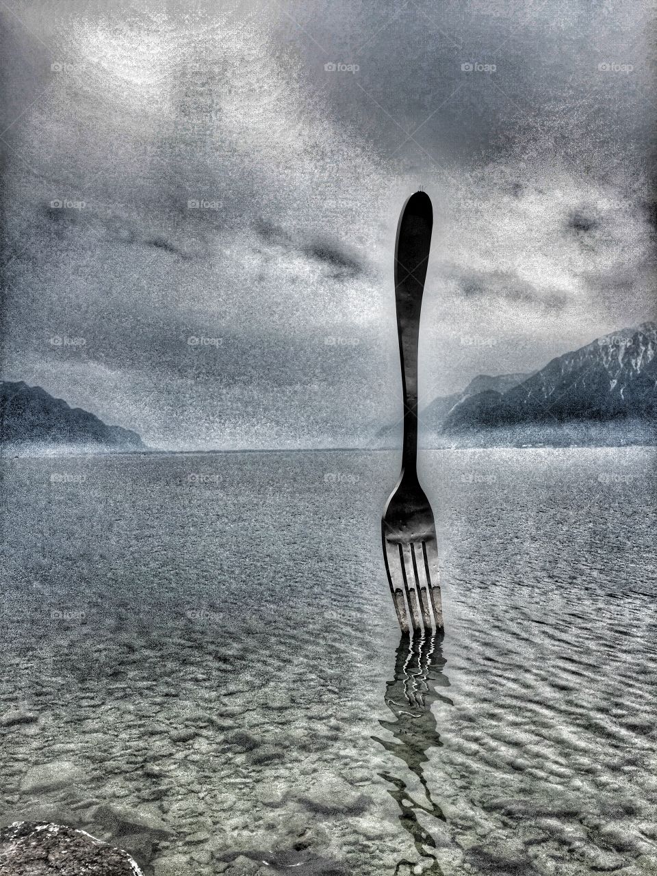 Fork 