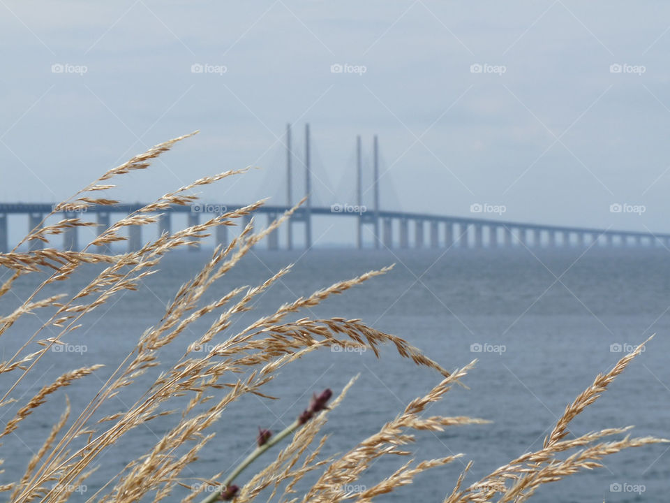 sweden nature sverige bridge by steffendd
