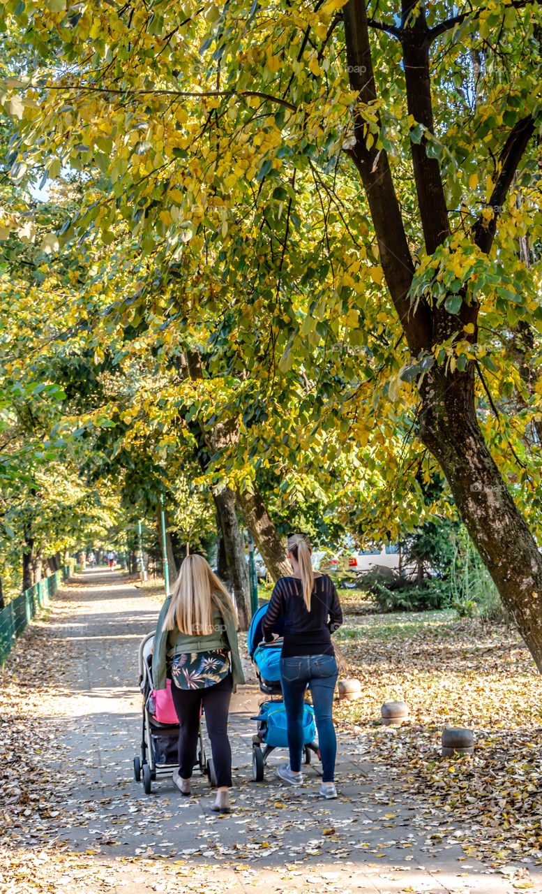 Autumn on Vilson's Promenade