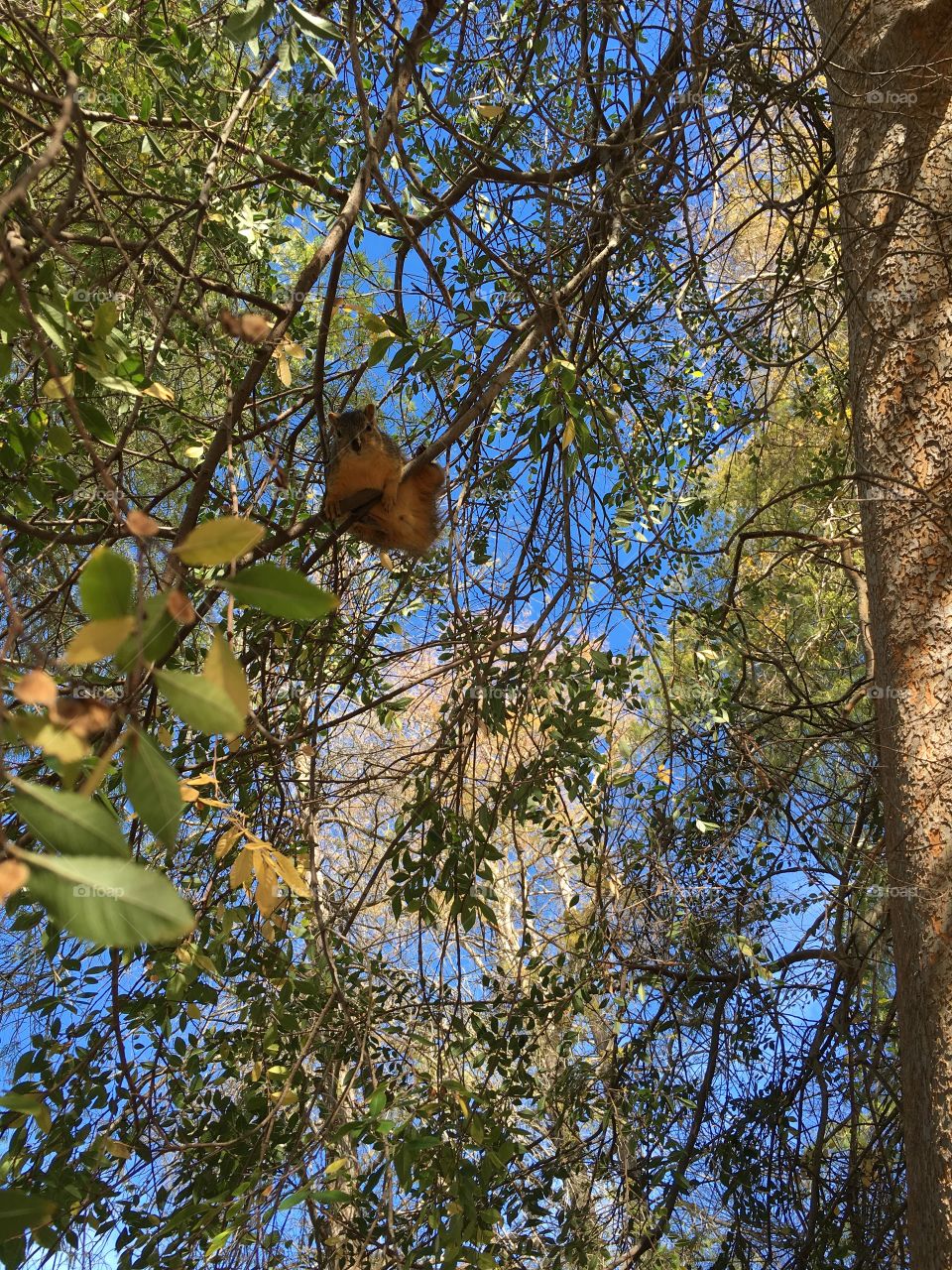 Hanging from the branch 