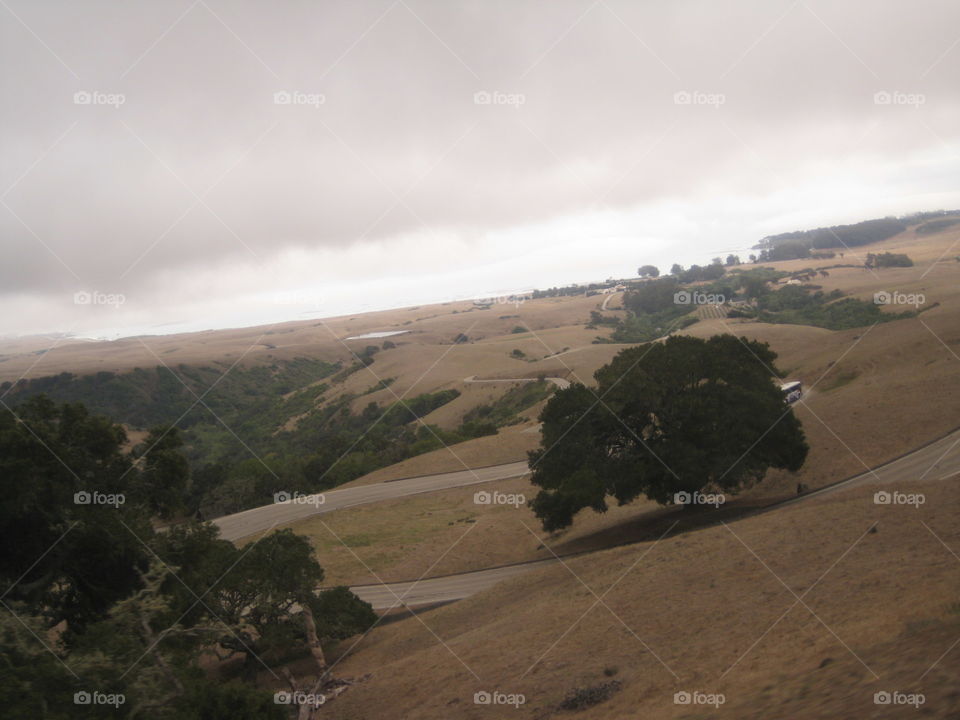 Rolling hills dotted Oaks. Scenic drive on rolling hills, fog slowly rolling in.