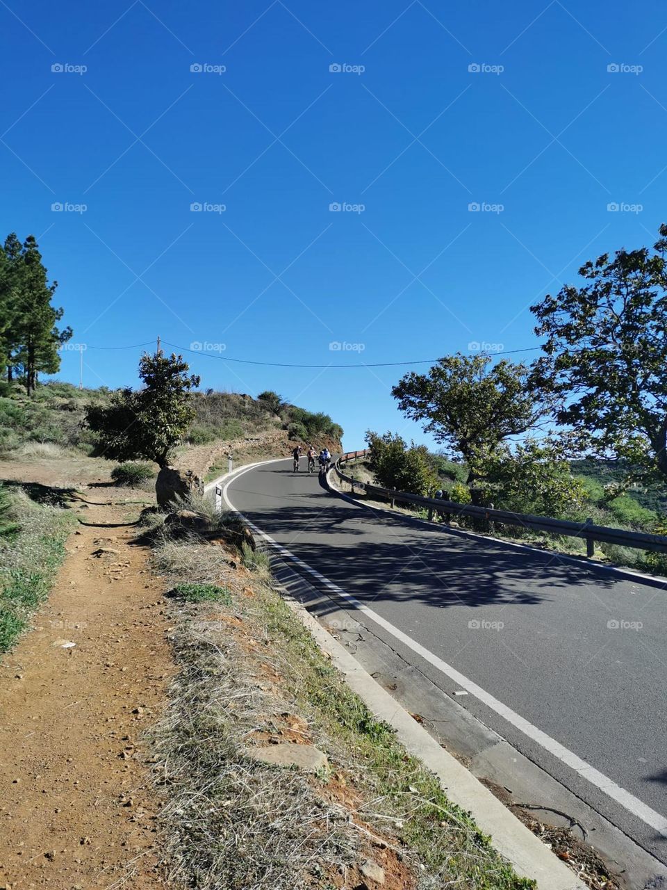 tenemos el mejor tiempo para salir con los amigos en bicicleta gran canaria