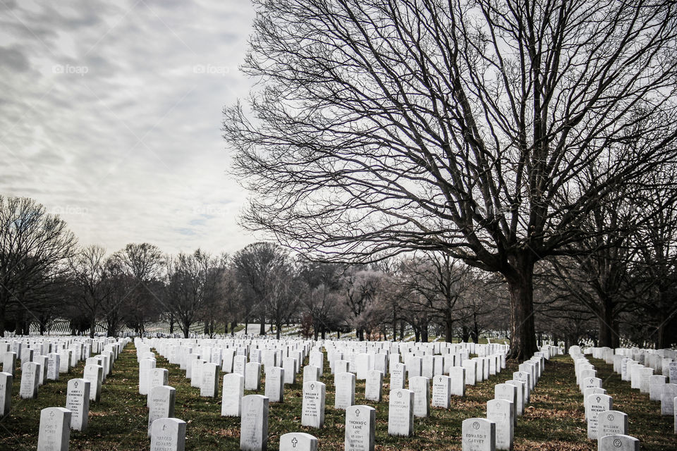 Picture of the famous Arlington National Cemetery.